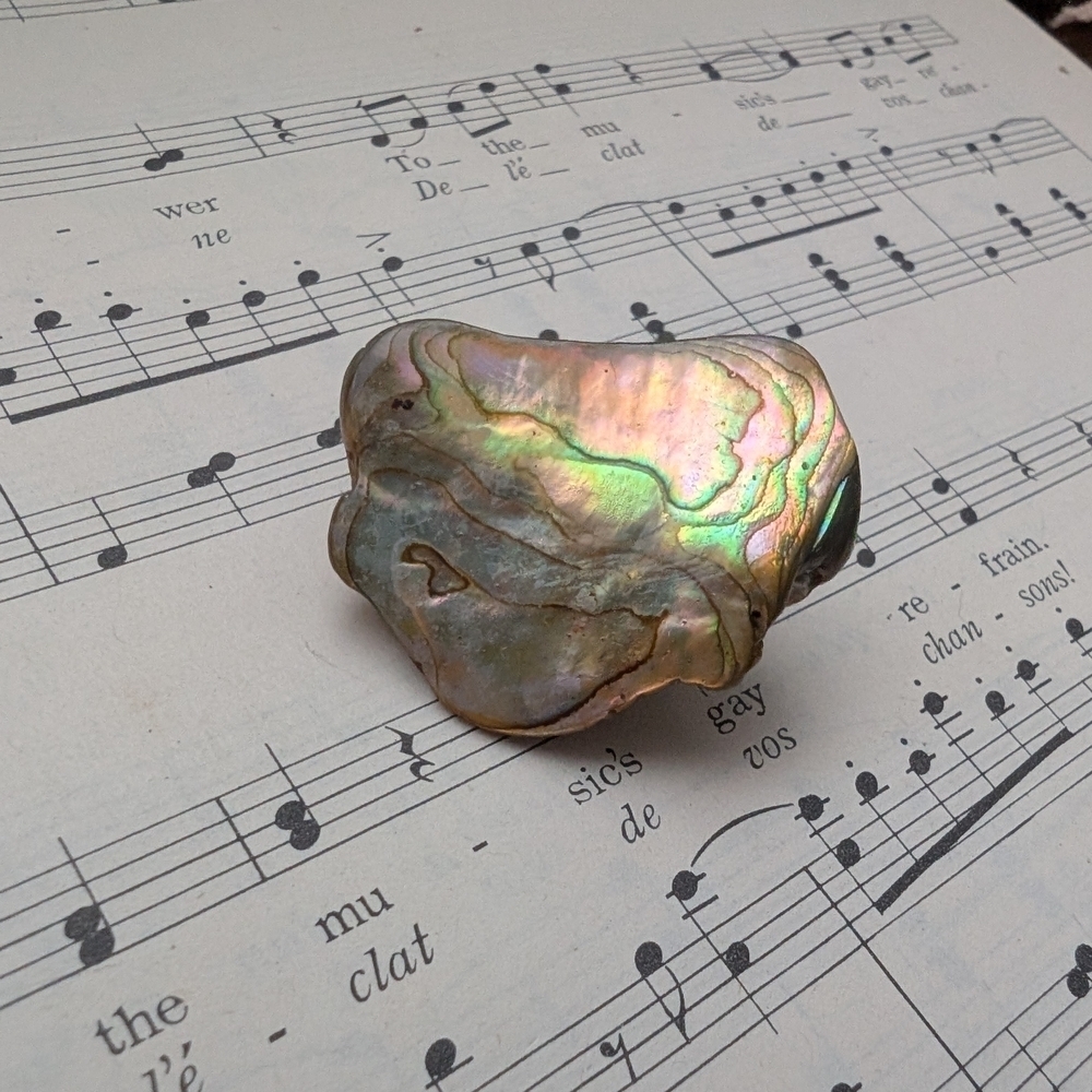 Iridescent Abalone Shell Brooch - Picture 11 of 11